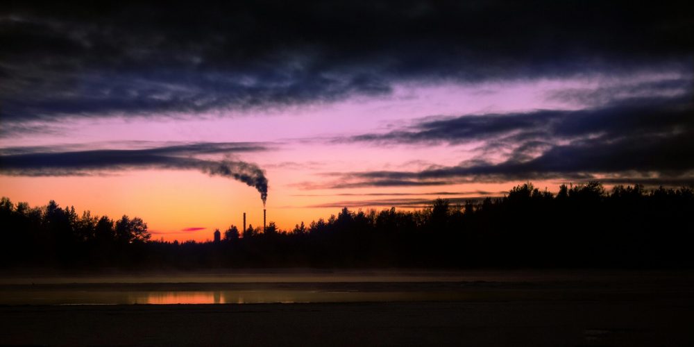 pexels-lepei-6672066